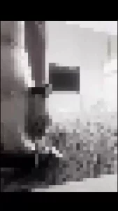 人妻第一季（强制内射）