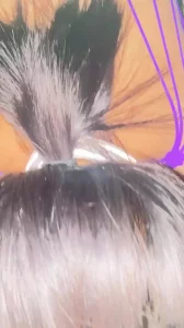 [原创]穿上粉丝送的内衣，戴项圈、打屁股、舔屁眼，叫baba，高潮喷了一米远