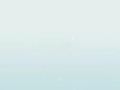 骗子给我发的视频