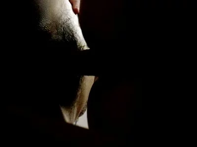 惠州女女可以出来交流